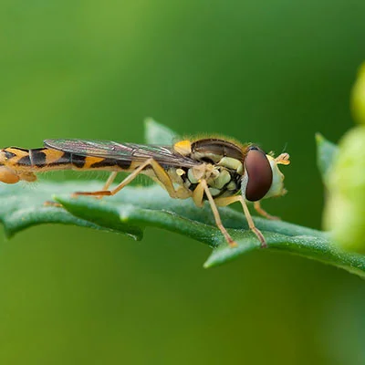 11月14日|18.2M/S，SSR节点/Shadowrocket节点/V2ray节点/Clash节点|免费订阅机场|每天更新免费梯子