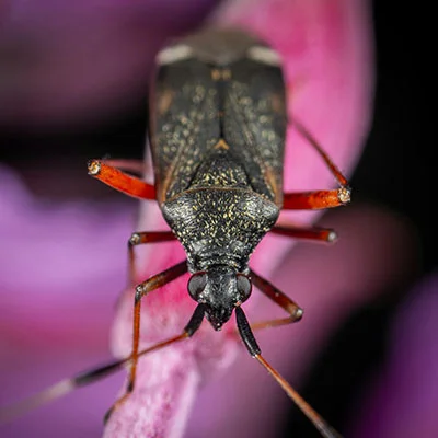 突破网络边界：科学上网路由器配置全攻略与深度解析