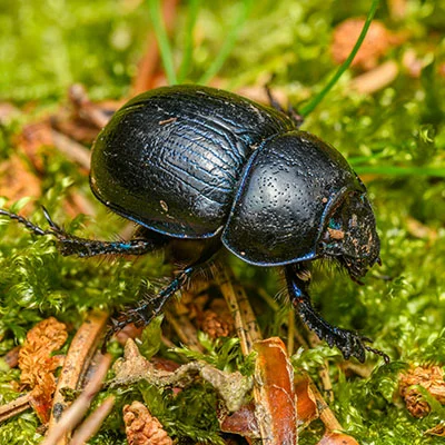 11月16日|20M/S，Shadowrocket节点/V2ray节点/Clash节点/SSR节点|免费订阅机场|每天更新免费梯子