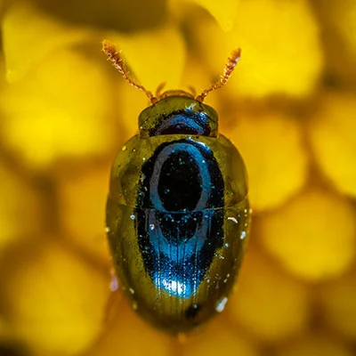 11月22日|22.9M/S，V2ray节点/Clash节点/Shadowrocket节点/SSR节点|免费订阅机场|每天更新免费梯子